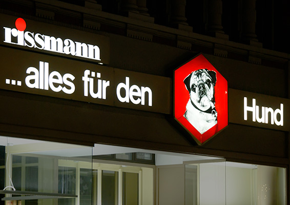 Werte Gesellschaft - 2. Auflage