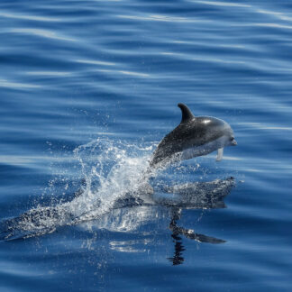 Motiv C467 - Bewahre deinen Mut