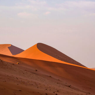 Motiv 265 - Im Glanz der Sonne