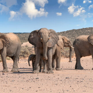 Motiv 270 - Wir halten zusammen